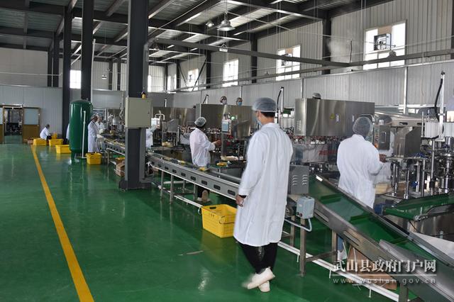 甘肃水果玉米产业新篇章 武山加工厂建成投产