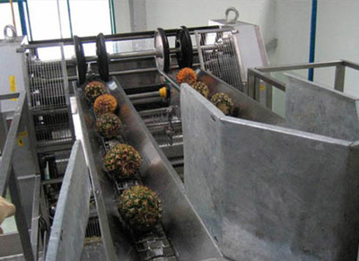 芒果菠萝加工生产线 水果产业的“黄金搭档”