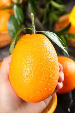 金针菇与蔬果的艺术碰撞 汇图网上的餐饮摄影灵感